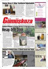 GÜMÜŞKOZA
